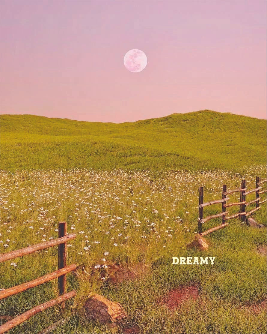 Grass-Fed Tallow Honey Balm